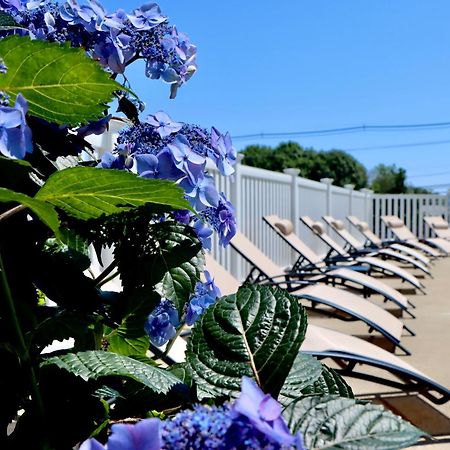 Sea View Motel Ogunquit Exterior foto