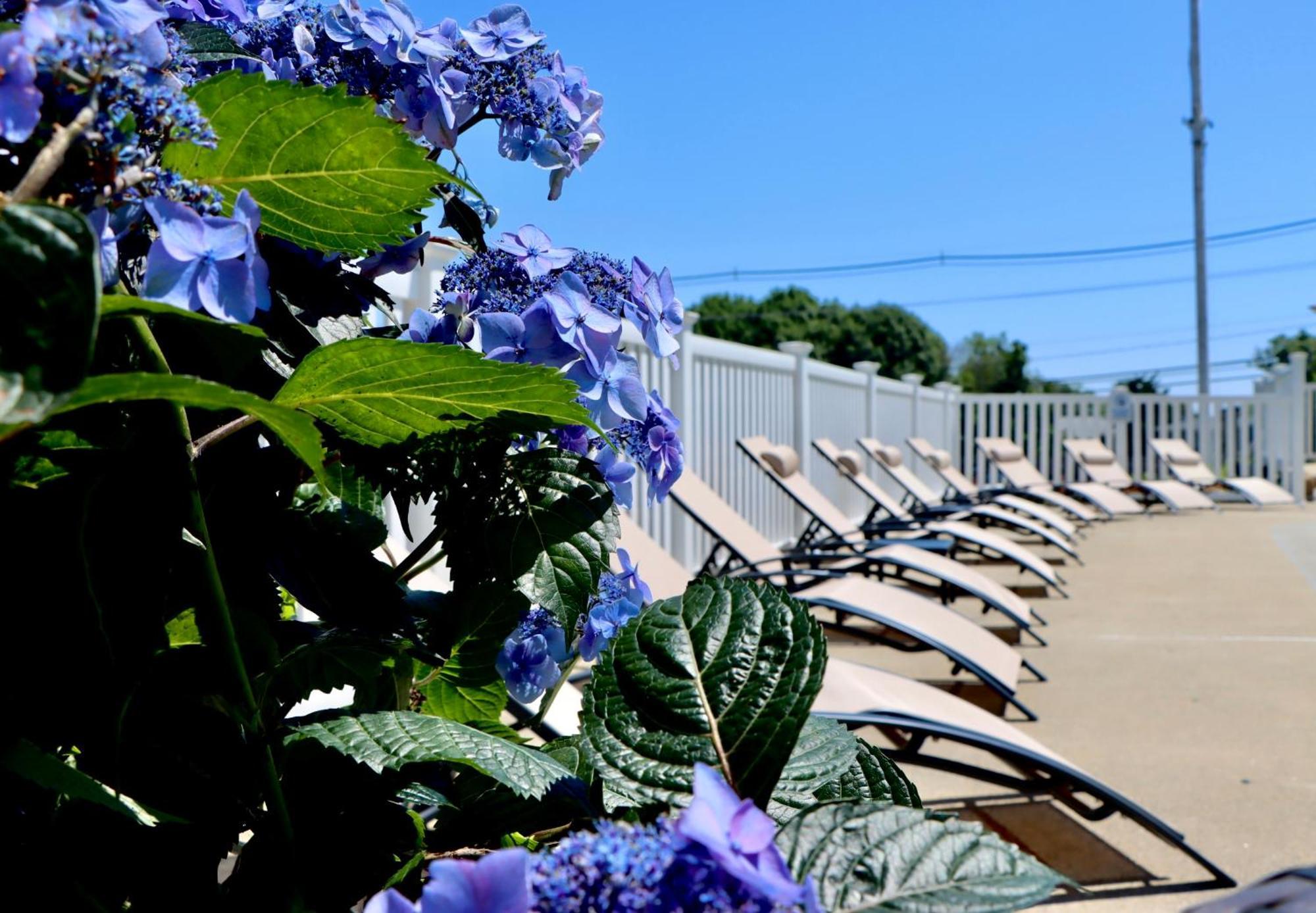 Sea View Motel Ogunquit Exterior foto